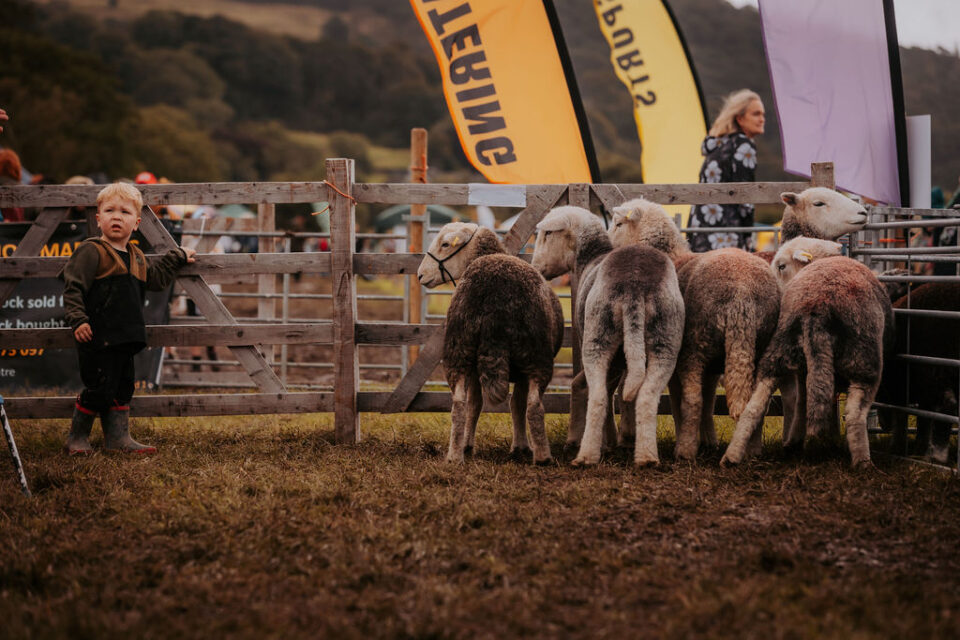 Hawkshead Agricultural Show